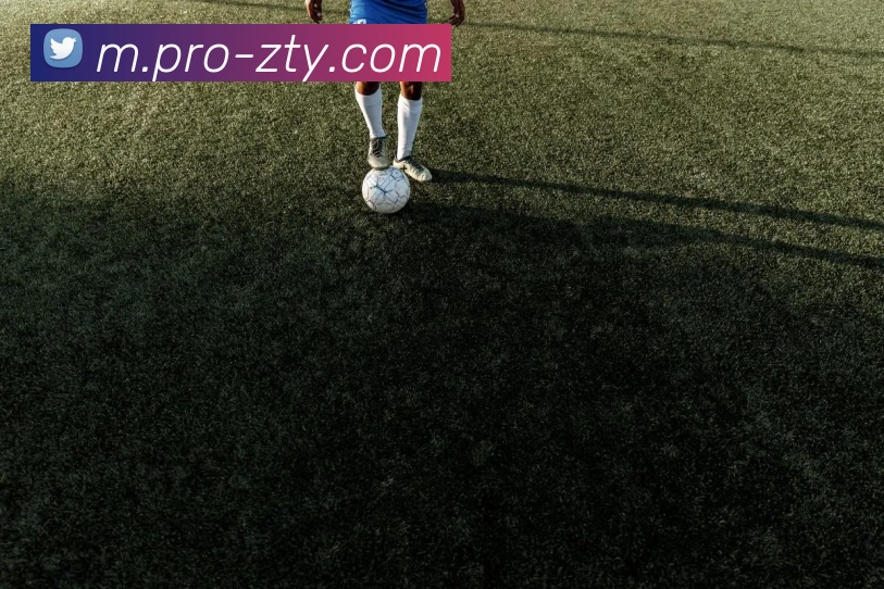 中欧体育全站App
